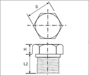 Hex Head Plug