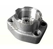 SAE Flange